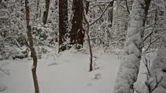 Ultra HD Time Lapse Weather