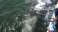 Marine Sanctuary