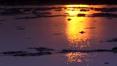 Reflection