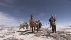 Indigenous People