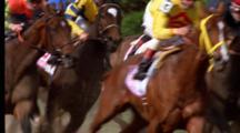 Horse Racing