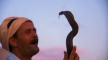 Reptiles and People