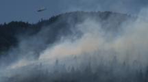 Ultra HD Forest Fire