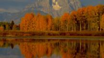 Ultra HD Fall Colors