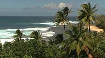 Tropical Scenics