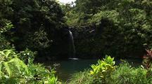 Tropical Scenics