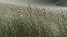 Wind