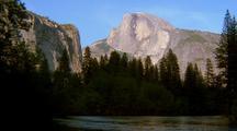 SCENIC