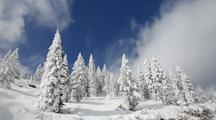 Weather 4K Video Ultra HD