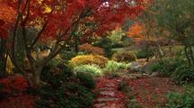 Fall-Autumn