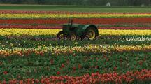 Agriculture