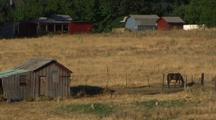 Rural