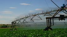 Ultra HD Agriculture