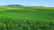 Ultra HD Agriculture