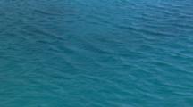 Water Ripples