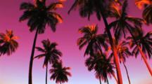 Royalty Free Sky