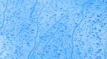 Royalty Free Video Water