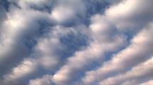 Royalty Free Video Cloud