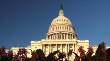 Royalty Free Video US Capitol