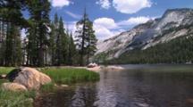 Royalty Free Video Landscape
