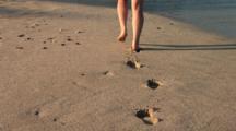 Royalty Free Beach