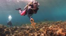 Ocean Research