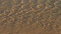 Ripples