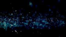 Bioluminescence