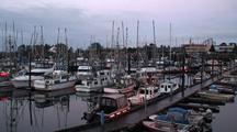 Harbor