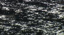 Sea Surface