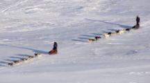 Dog Sledding