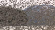 Flocks of Birds