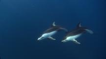 Open Ocean