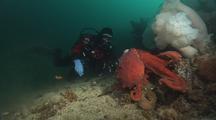 SCUBA Diving