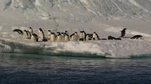 Ice Floe