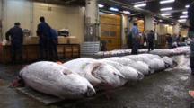 Fish Market