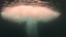 Dynamite/Blast Fishing