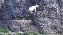 Cliff