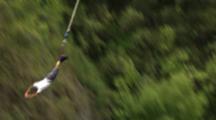 Bungy Jump
