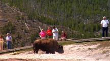 Tourism