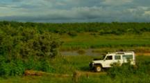 Safari