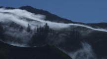 Ultra HD Fog/Mist