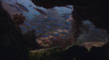 Royalty Free Underwater Caves