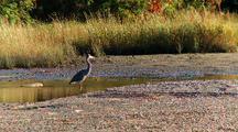 Mudflat