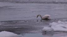 Ice