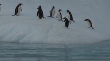 Antarctica