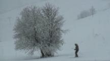 Royalty Free Video Snow
