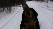 All Animal Sports