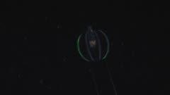 Sea Gooseberry