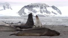 8K Video Antarctica